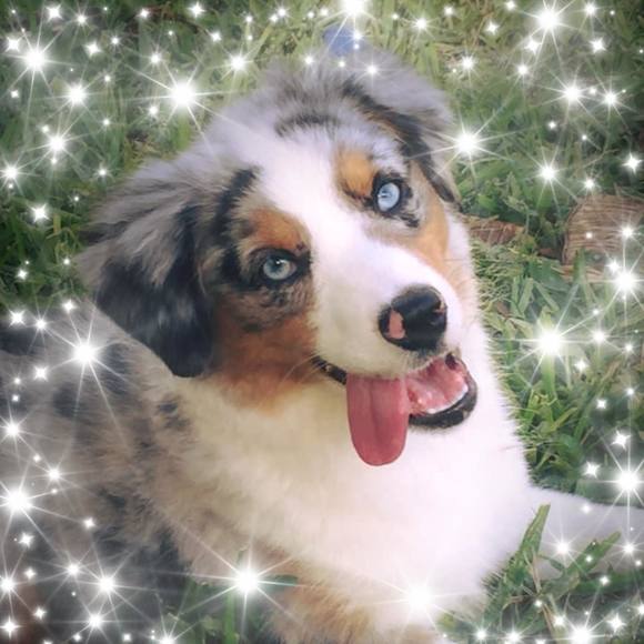 girldogue